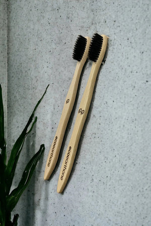 Bamboo Toothbrush (pack of 2) with Holder EcoEarthOne