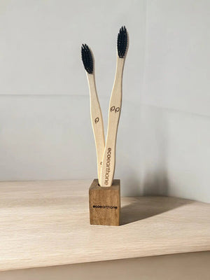 Bamboo Toothbrush (pack of 2) with Holder EcoEarthOne