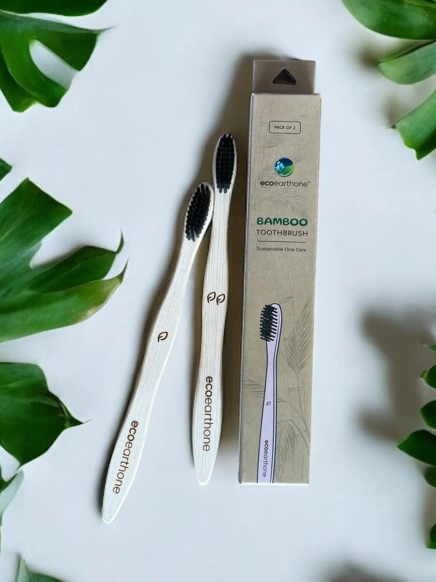 Bamboo Toothbrush (pack of 2) with Holder EcoEarthOne
